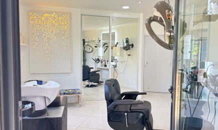 Béa Mothes Visagiste - Coiffeuse  : Coiffeur à Montastruc-la-Conseillère