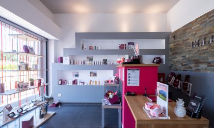 Ellemspa : Manucure à Fonbeauzard