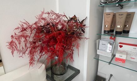 Lizo Aesthetics: Kosmetikstudio in Düsseldorf