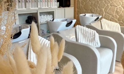 Studio JDK : Barbier à Chatte