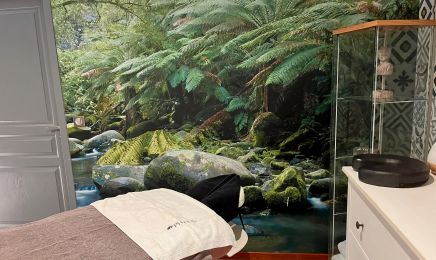Hôtel La Ségalière : Spa à Cajarc