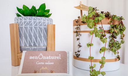 Zenonaturel : Institut de beauté à Grand-Champ