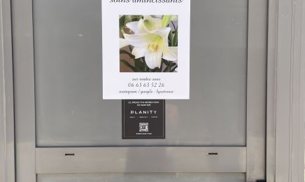 Lys et vous  : Coiffeur à Jargeau