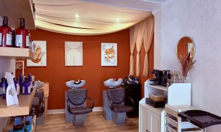 Privilège  : Coiffeur à La Ferté-Saint-Aubin