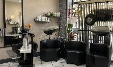 Francine Coiffure  : Coiffeur à Dormans