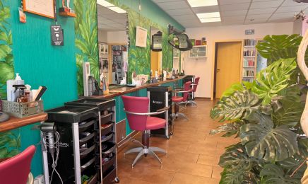 Hairllywood: Friseur in Seelingstädt