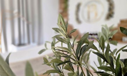 Beatitude : Coiffeur à Zudausques