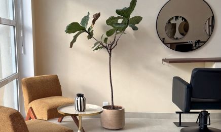 CERUJO : Coiffeur à Six-Fours-les-Plages