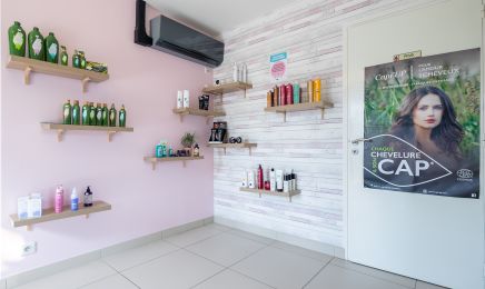 Le cheveu d'ébène : Coiffeur à L'Oie