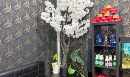 HAARE & BART: Barbershop in Würzburg