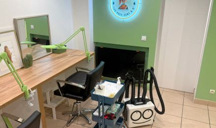 Therese vs les Poux (traitement anti-poux) : Coiffeur à Villiers-le-Bel