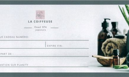 La coiffeuse  : Coiffeur à Grenoble