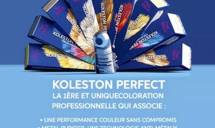 Style Créateur Coiffure  : Coiffeur à Bort-les-Orgues