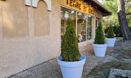 Terre et Ciel : Coiffeur à Aix-en-Provence