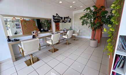 L'Art du Ciseau : Coiffeur à Brécé