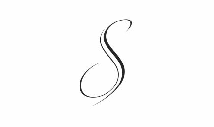 S - Maitre Artisan  : Coiffeur à Reims
