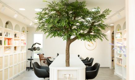 SYMBIOSE Concept Beauté : Coiffeur à Froidfond