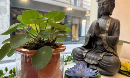 Tui Na SPA  : Institut de beauté à Paris