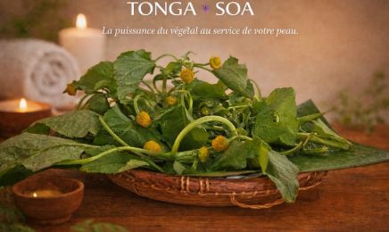 TONGA*SOA Institut de beauté et de bien-être : Institut de beauté à Saint-Denis