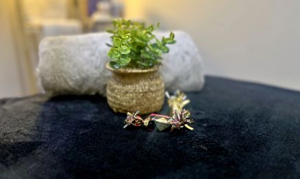 Beleza_sh - manucure - Massage - Épilation - Teinture - Anse / Villef : Manucure à Anse