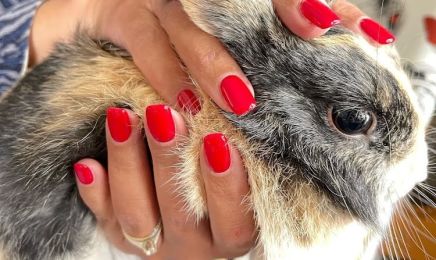 Les Ongles Parfaits : Manucure à Sète