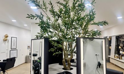 Haargenau : Friseur in Volkach