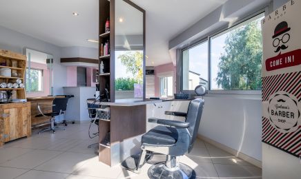 Le cheveu d'ébène : Coiffeur à L'Oie