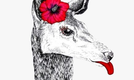 L'atelier Biche : Institut de beauté à Fondettes