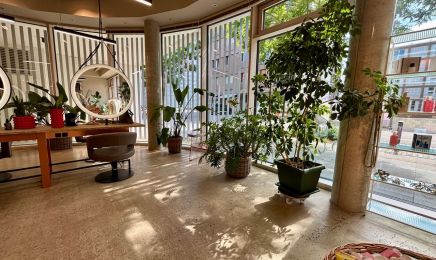 Mona Hofmann Wellness for your Hair: Friseur in Heilbronn