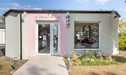 Le cheveu d'ébène : Coiffeur à L'Oie