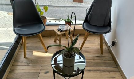 Luna Gaïa : Coiffeur à Ardres