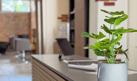  ESTHETICS: Friseur in Borna