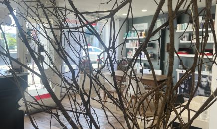 Salon Sophie D : Coiffeur à Saint-Étienne-de-Fontbellon