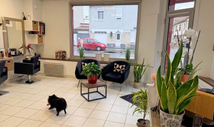 Bella.C Coiffure : Coiffeur à Reims