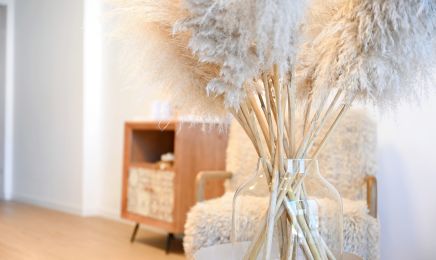 Escale Argane : Coiffeur à Besançon