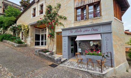 De mèche avec vous végétal : Coiffeur à Aubeterre-sur-Dronne