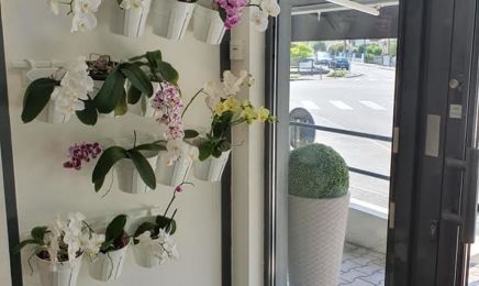 Institut de beauté OnlyZen : Institut de beauté à Billère