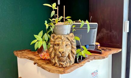 Le Salon Au Masculin : Barbier à Louvigné-de-Bais