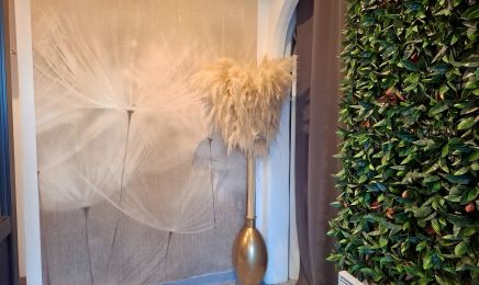 L’institut Bio : Spa à Castelnau-de-Guers