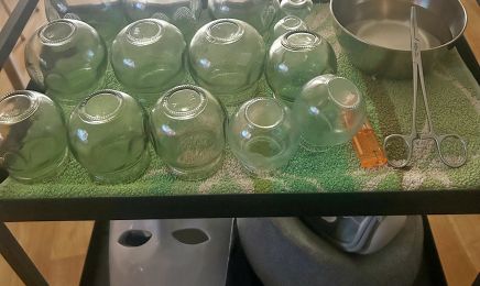 Milynutriglow : Institut de beauté à Éragny