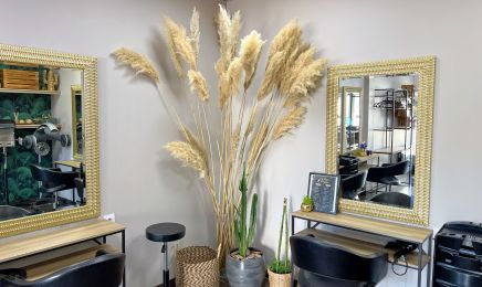 Le Peigne Magique By Anthony : Coiffeur à Tournon-sur-Rhône