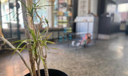 Orient Barber: Friseur in Würzburg
