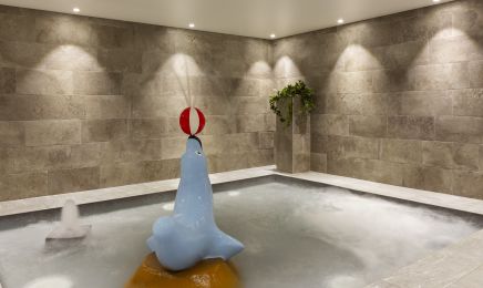 Spa Nuxe - RockyPop Flaine : Spa à Arâches-la-Frasse