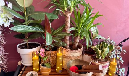 LOWPSY & SPA : Barbier à Rognac