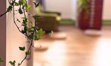 Chez Melusine : Institut de beauté à Thonon-les-Bains