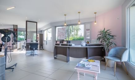 Le cheveu d'ébène : Coiffeur à L'Oie