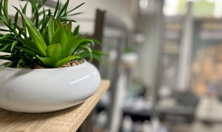 Praxis Haarästhetik Kassel: Friseur in Kassel