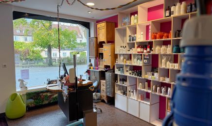 Vue Sur L'ill : Coiffeur à Strasbourg