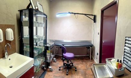 Clockwork Needle  : Institut de beauté à Épinal
