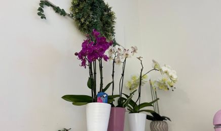 Pearl Beauty : Kosmetikstudio in Essen